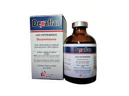 DEXAFLAN  50ML INJ LEMA INJEX