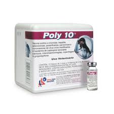 VACINA POLY 10 BASICA 10 DS LEMA INJEX